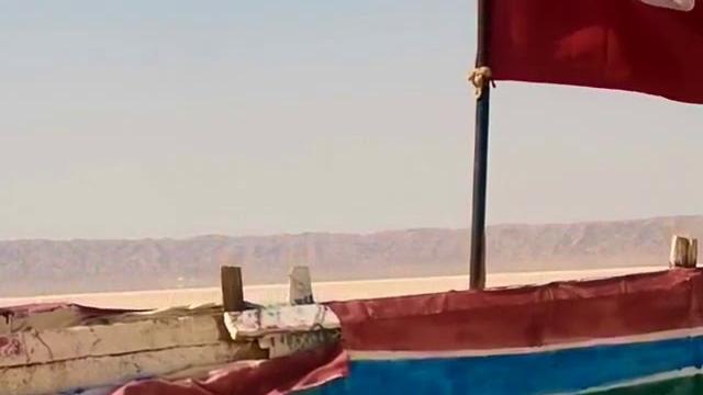 كم يبلغ عدد سكان تونس 2021