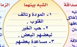 ما أوجه الشبه والاختلاف بين الصداقة والزمالة