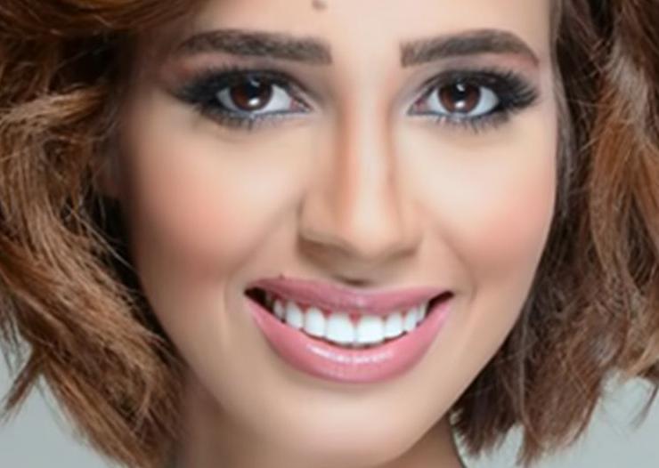 من هو سامر ابو طالب زوج رنا سماحة ويكيبيديا