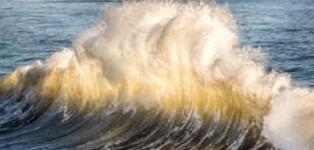 ماذا هو قصد الكاتب بقوله الحياة مد وجزر