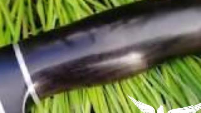 من هو قاتل حسن زاهر غصن ويكيبيديا