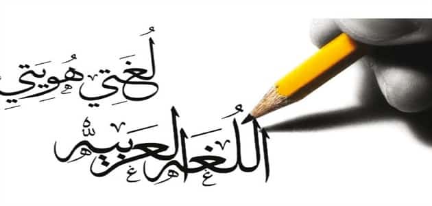 الفرق بين E و E.