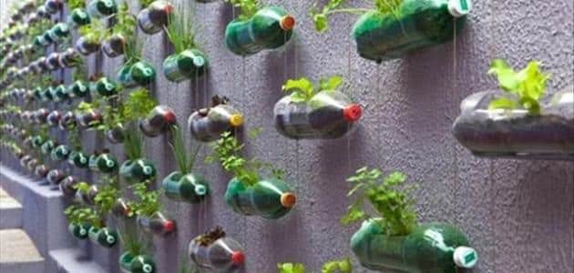 كيفية استخدام الزجاجات البلاستيكية الفارغة