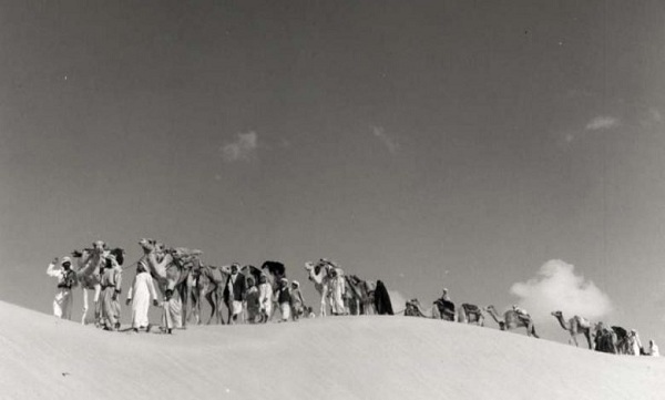 أفخاذ قبيلة شمر