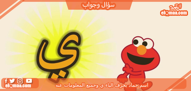 اسم جماد بحرف الياء ي وجميع المعلومات