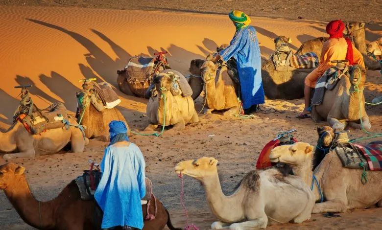 كم عدد قبيله بني كعب؟ وتاريخهم بالكامل